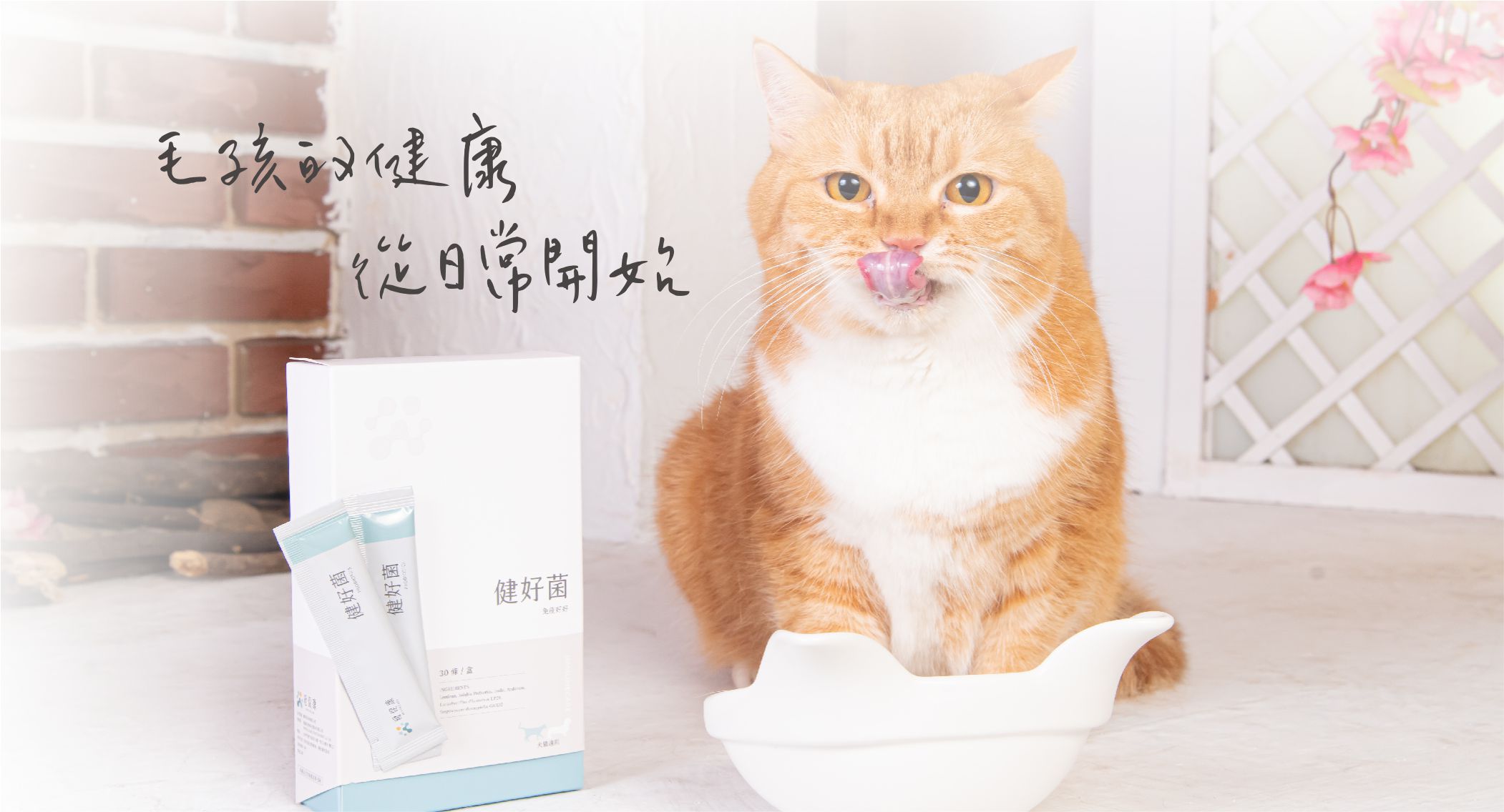 健好菌形象照
