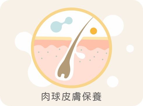 毛孩皮膚保養