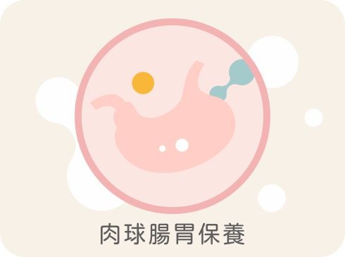 毛孩腸道保養