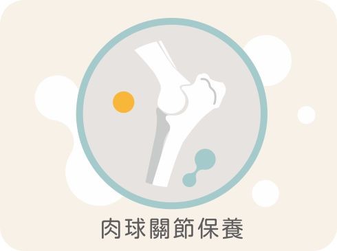 肉球關節保養