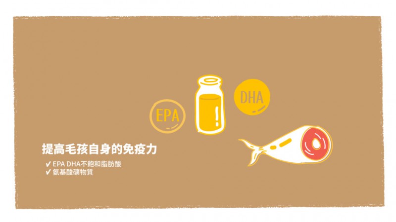 提高毛孩自身的免疫力.jpg