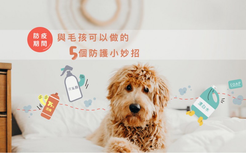 防疫期間的五個防護小妙招.jpg