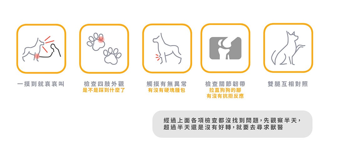 狗狗是不是發炎了.jpg 狗狗是不是發炎了.jpg