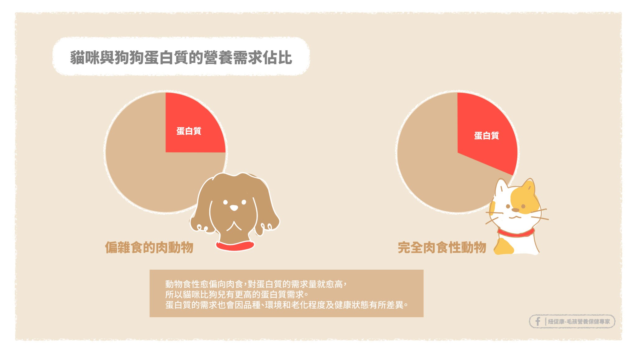 貓貓與狗狗蛋白質營養的需求比較.jpg 貓貓與狗狗蛋白質營養的需求比較.jpg