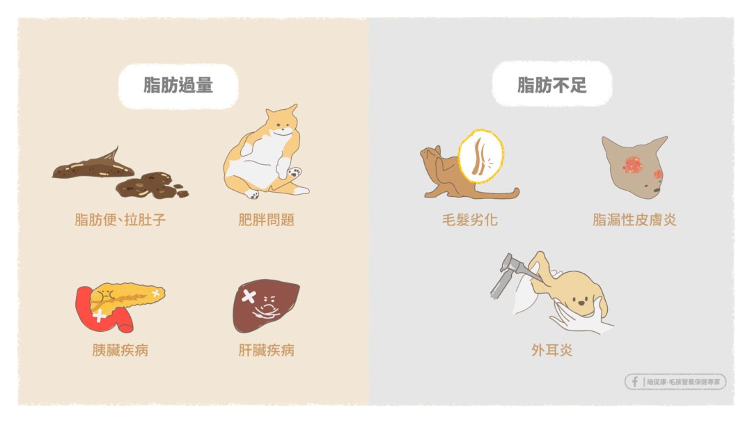 脂肪過量或脂肪不足的問題.jpg
