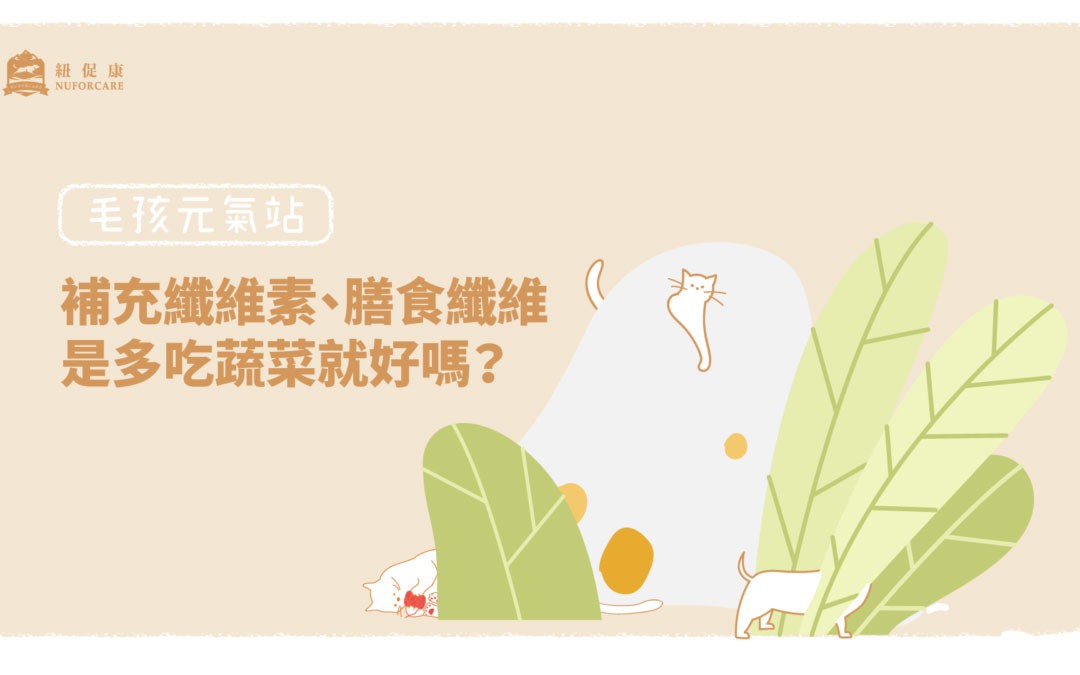多吃蔬菜只需要補充纖維素和膳食纖維嗎.jpg