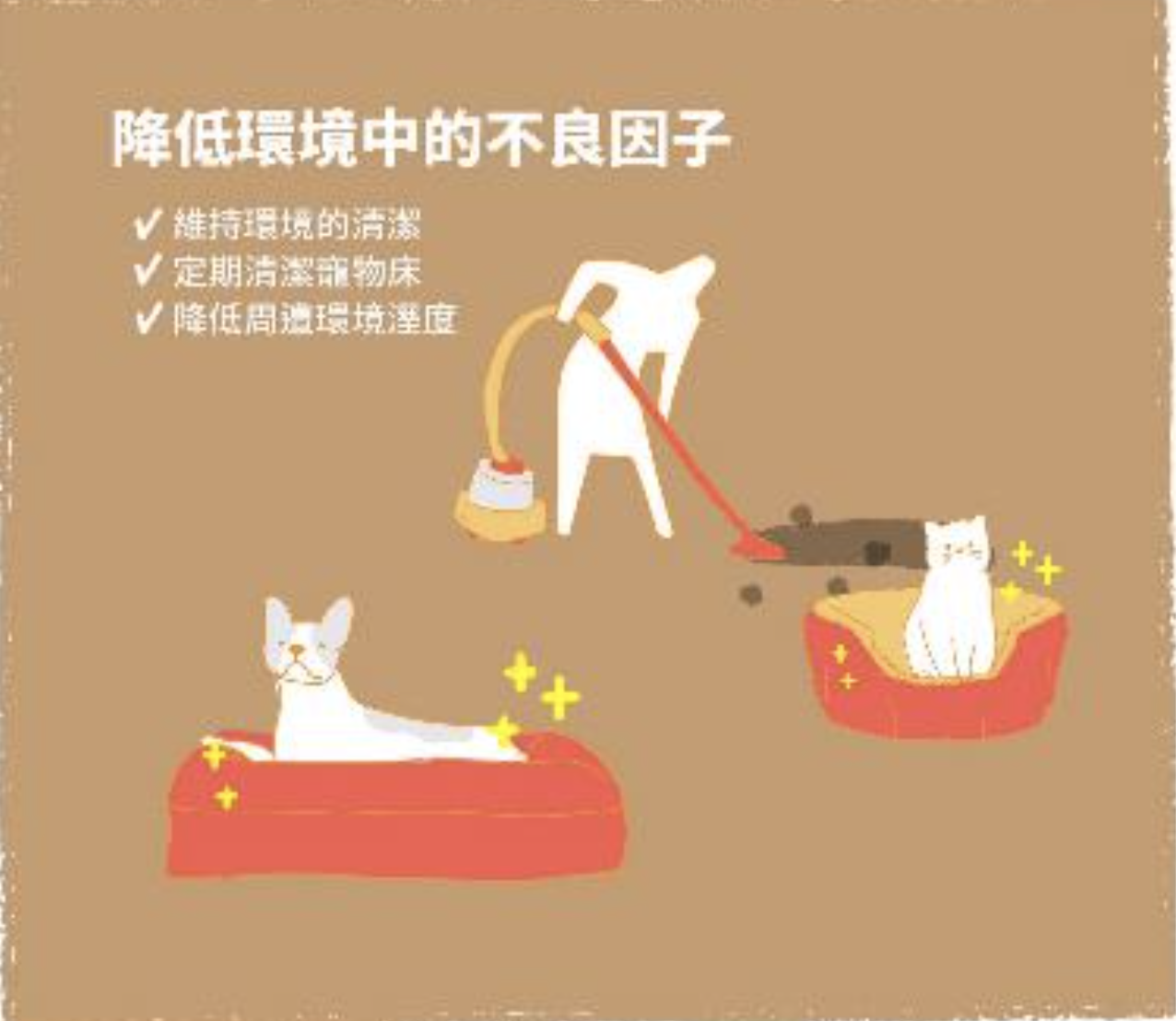 截圖 2021-01-10 下午10.53.29.png