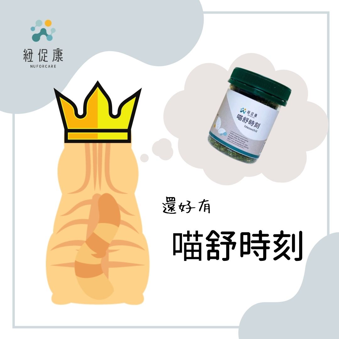 喵舒時刻