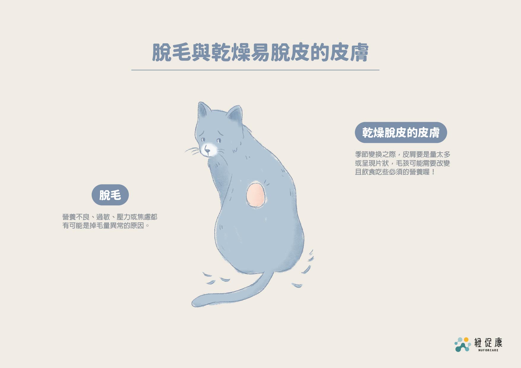 一眼洞察五種毛孩的皮膚狀況-02.jpg