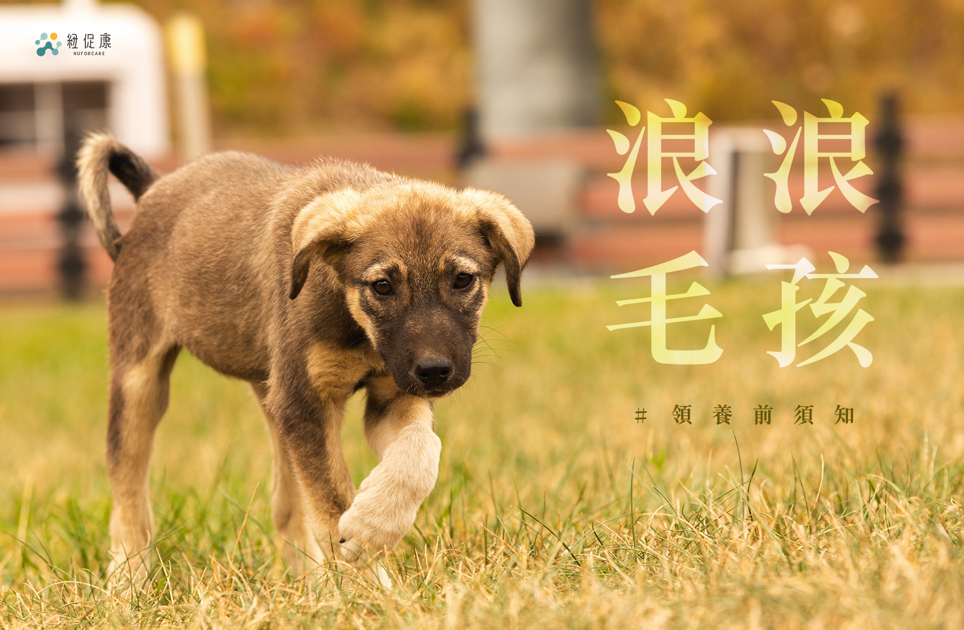 0924知識文_01.jpg