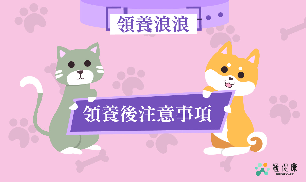 0927領養後注意事項1260x750.jpg