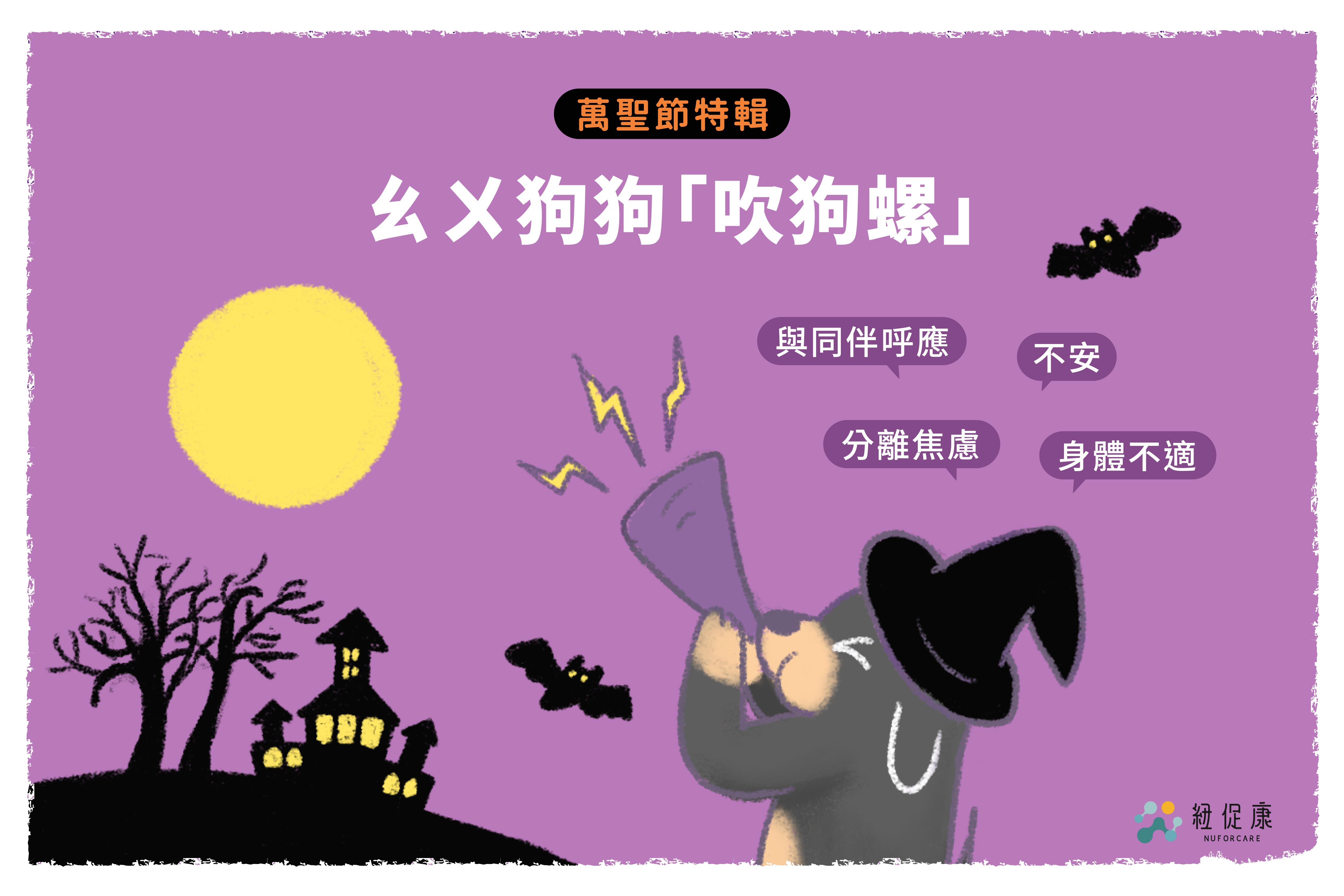 1634535059108936.jpg 1023凹ㄨ吹狗螺-1.jpg