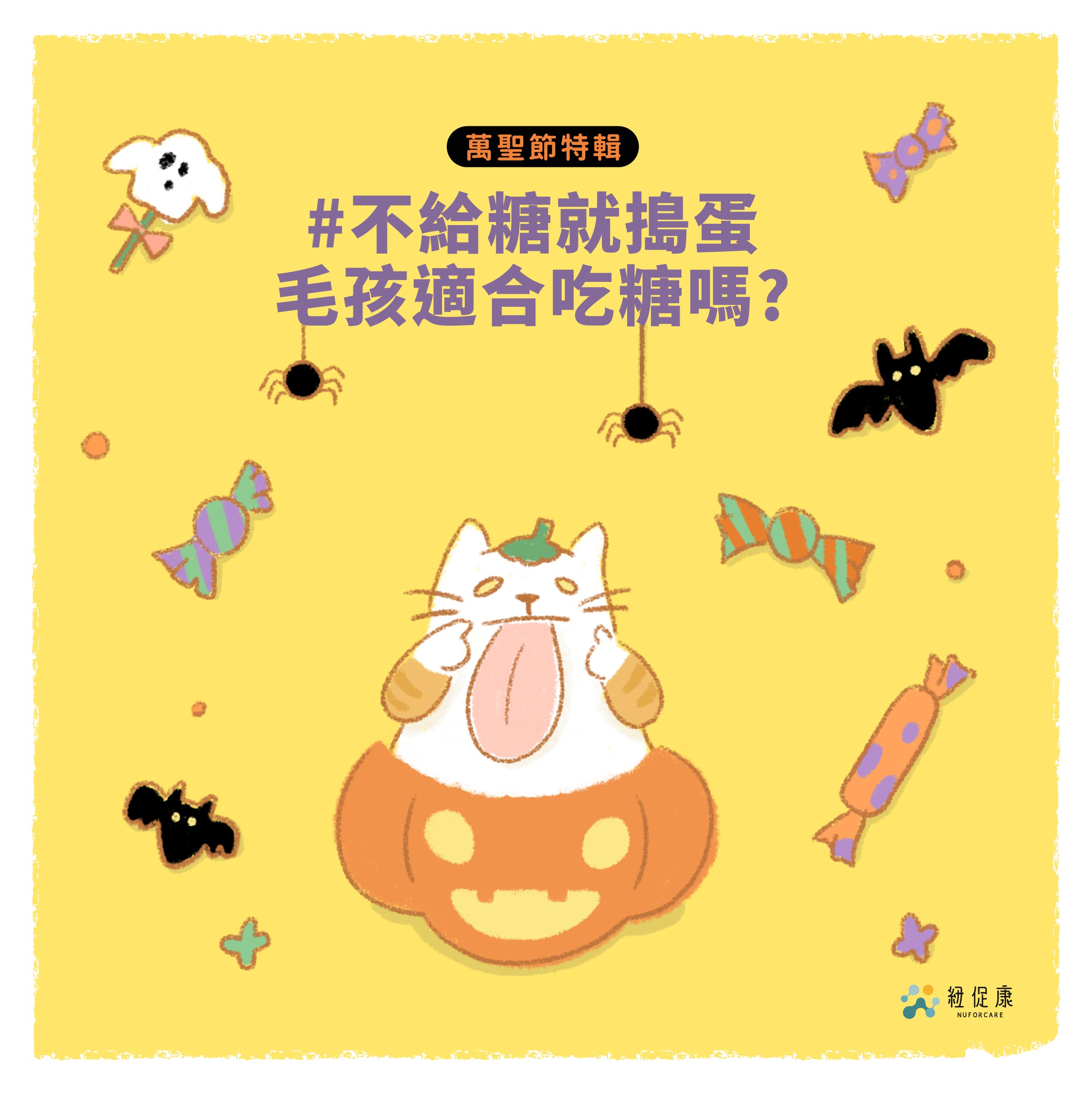 1634537249649800.jpg 適合?.jpg