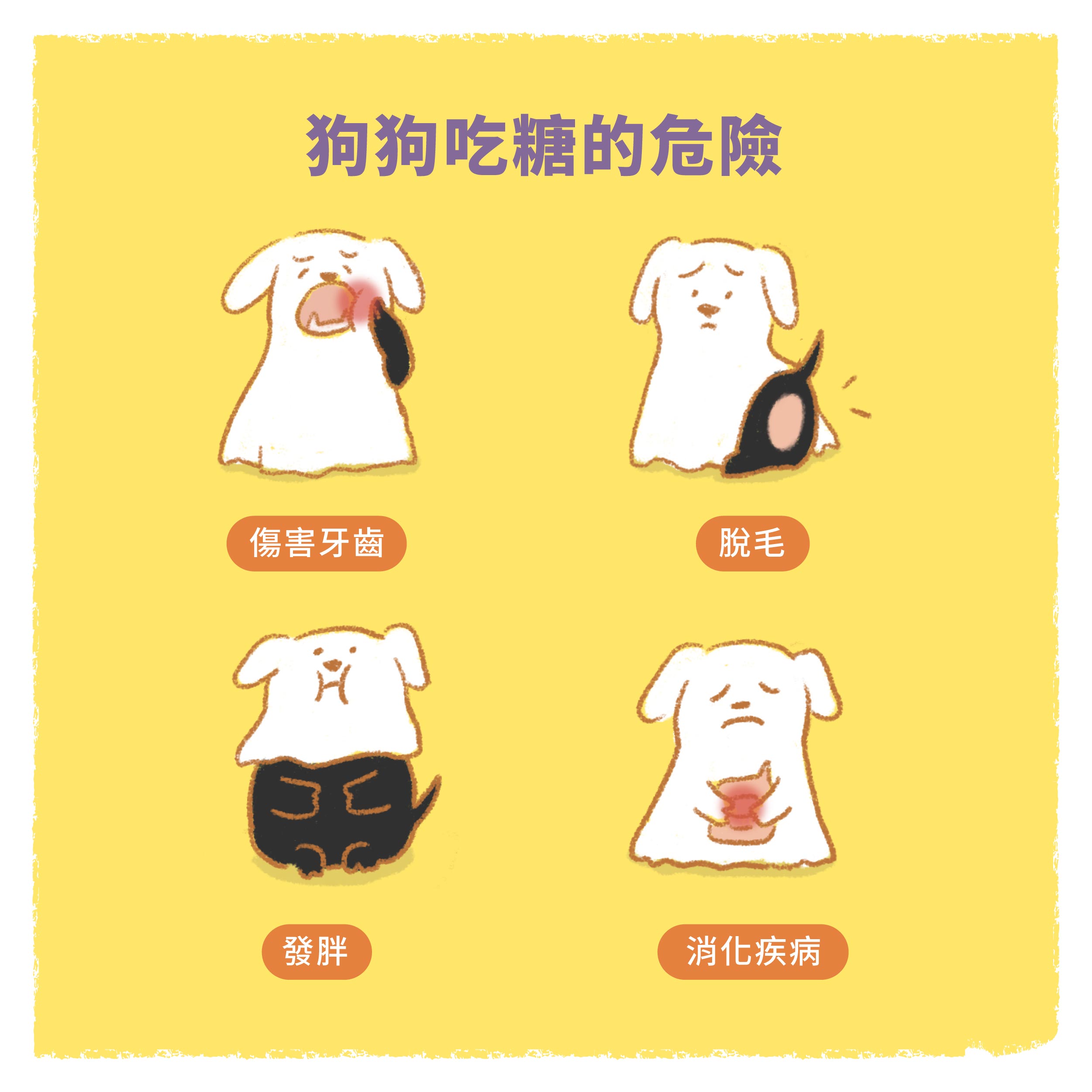 1634537285100594.jpg 狗.jpg