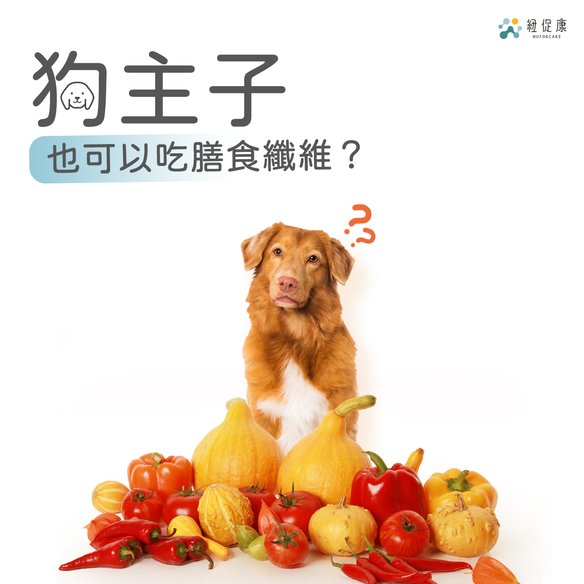 狗主子也能吃膳食纖維？.png