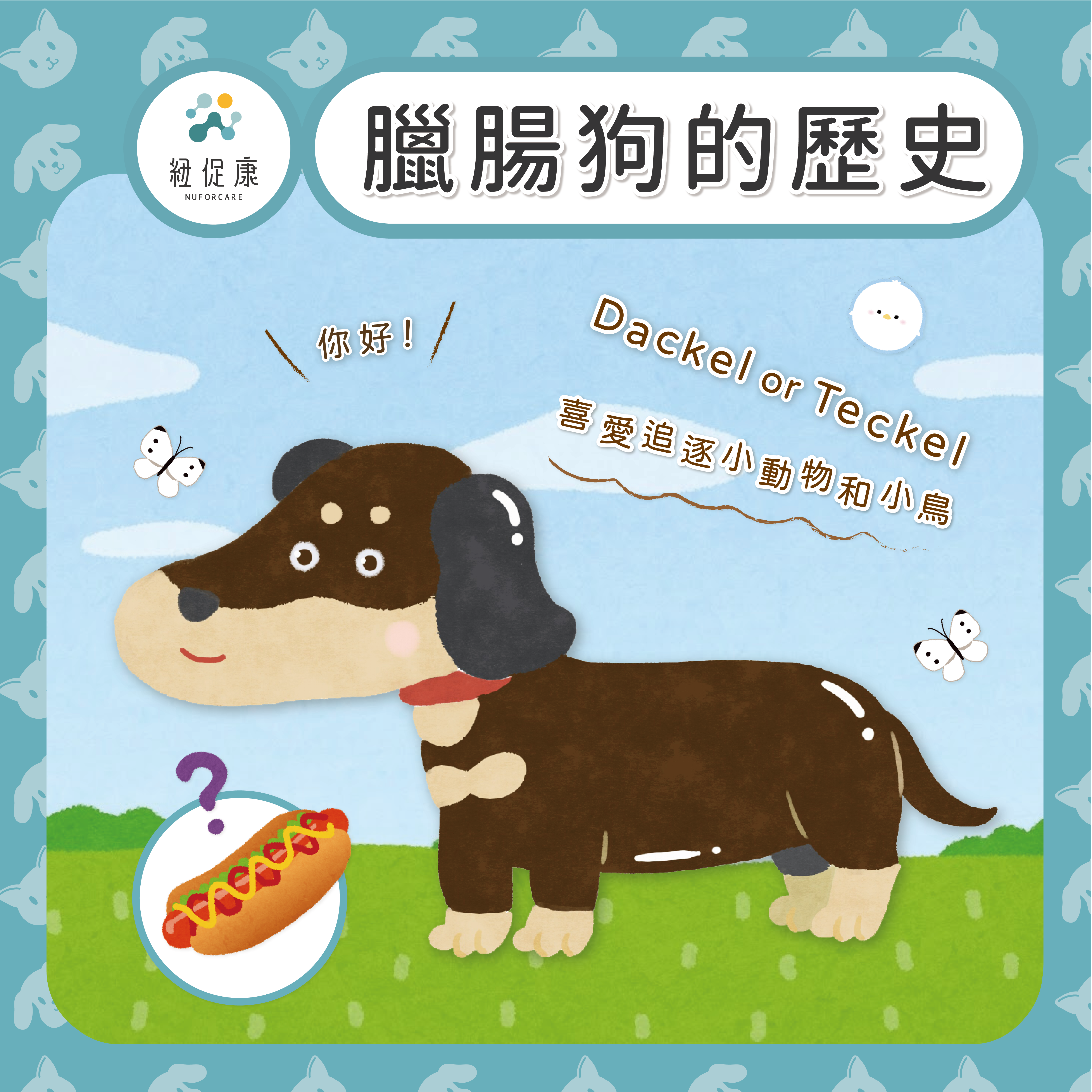 1672686442741098.png 臘腸狗歷史-IG.png