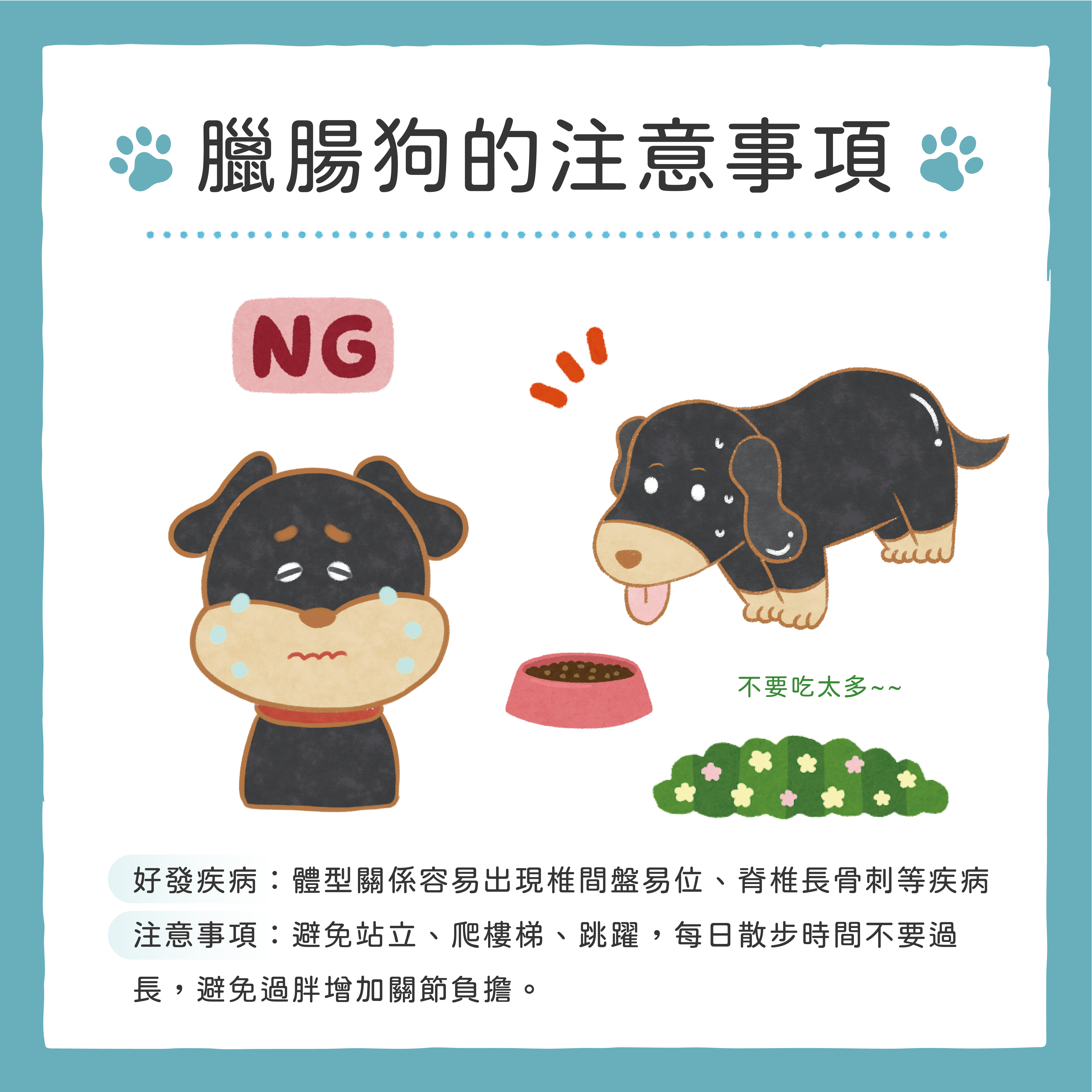 1672686587765670.png 臘腸狗歷史-04.png