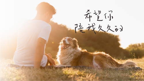 關於我們-內文圖2.png