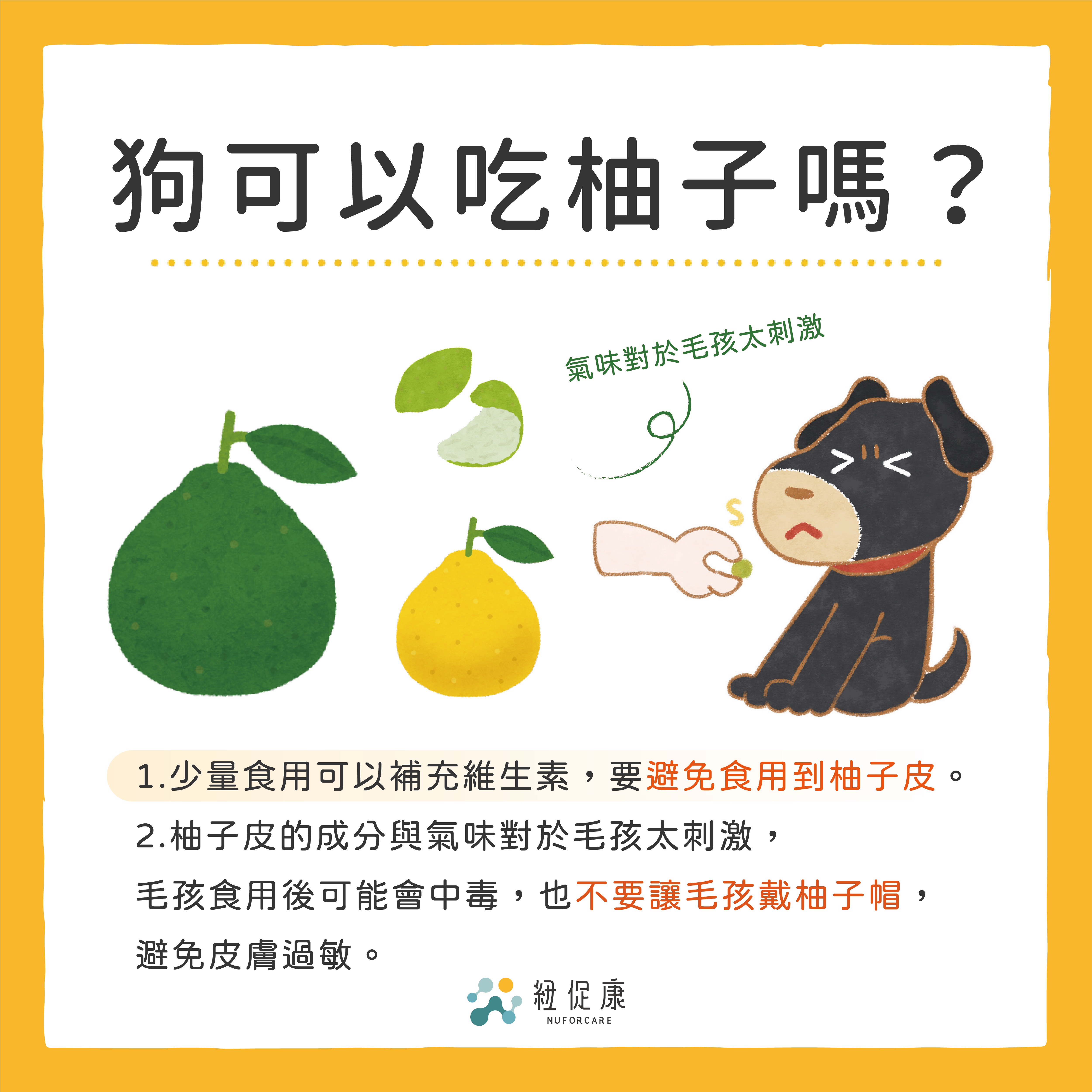中秋美食狗狗可以吃嗎？-03.jpg
