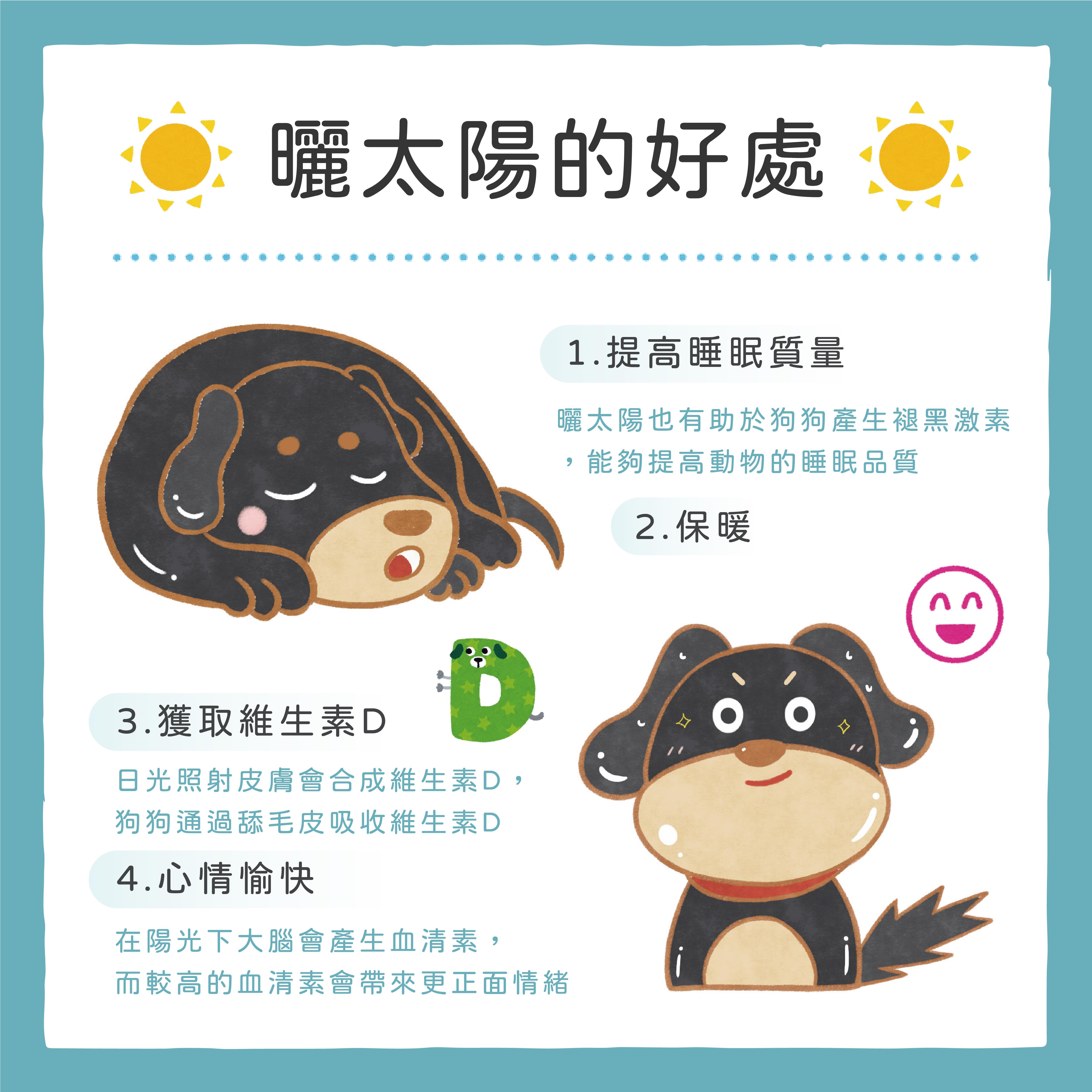 0130毛孩曬太陽的好處-02.jpg