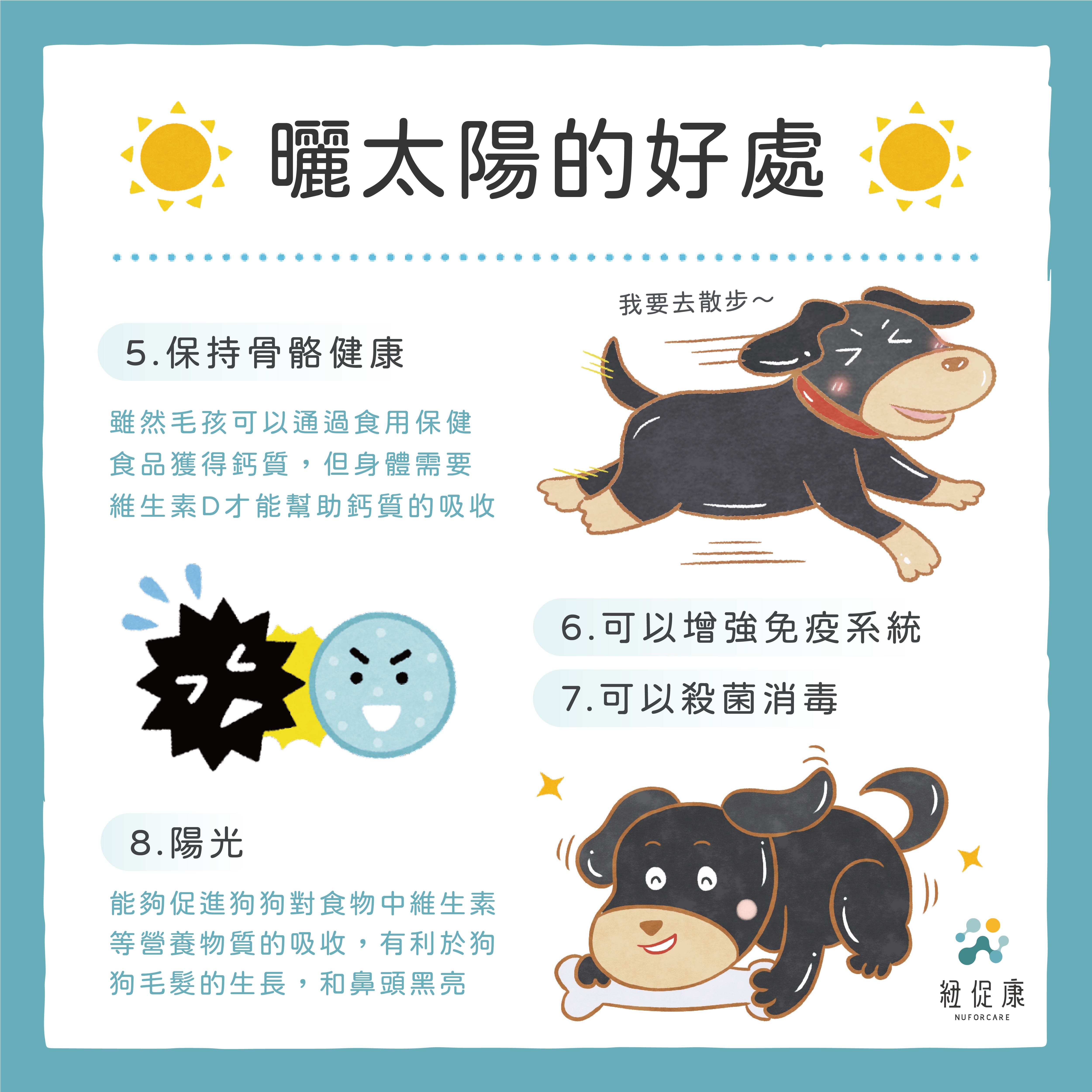 0130毛孩曬太陽的好處-03.jpg